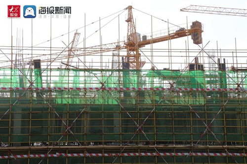 年产值可达3亿元 青岛港乐新能源产业园项目实现主体封顶